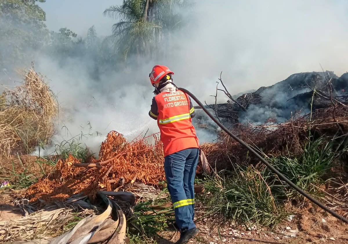 Queimadas, incêndio, bombeiros, MT