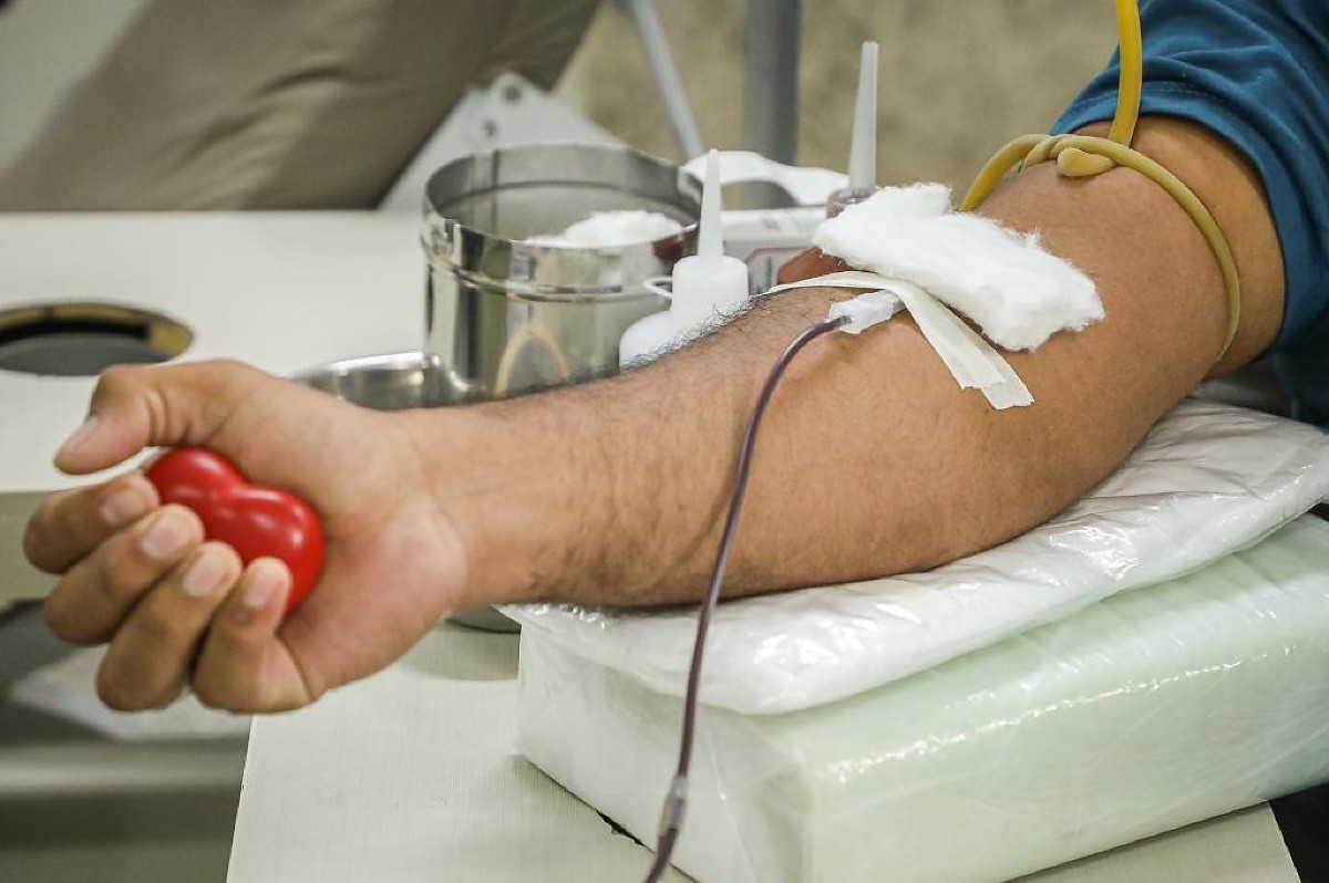 Doação de sangue Hemocentro